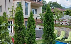 Pensiunea Casuta cu Trandafiri 2